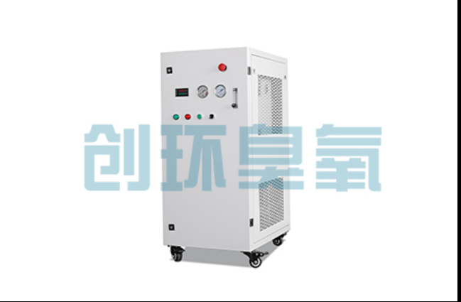 贵阳工厂化养鲈必看：2026年臭氧发生器替代传统消毒的最新方案