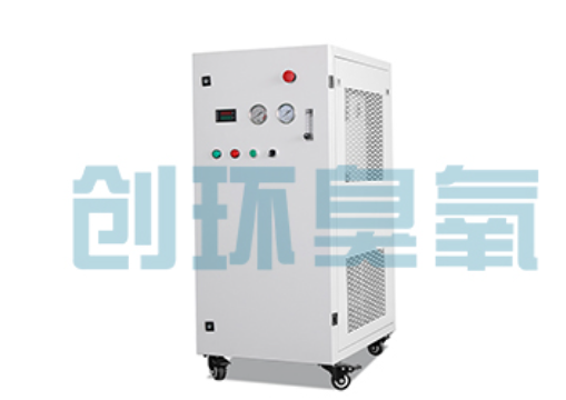 贵阳石斑鱼养殖水质调控完整指南：臭氧发生器配置与操作步骤