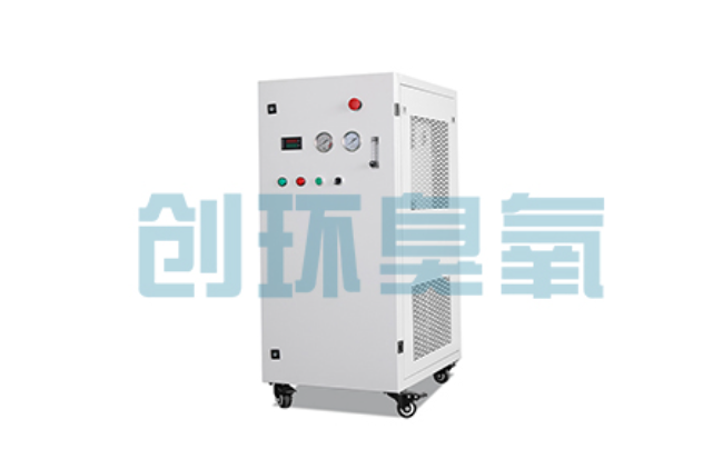 贵阳比传统换水更高效？臭氧发生器在石斑鱼养殖中的水质净化原理解析